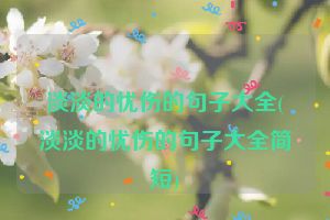 淡淡的忧伤的句子大全(淡淡的忧伤的句子大全简短)