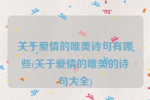 关于爱情的唯美诗句有哪些(关于爱情的唯美的诗句大全)
