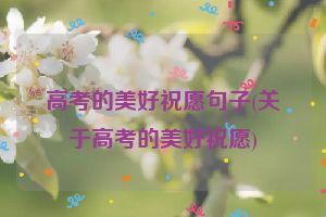高考的美好祝愿句子(关于高考的美好祝愿)