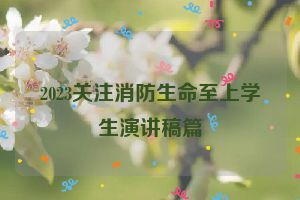 2023关注消防生命至上学生演讲稿篇