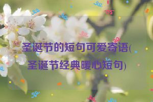 圣诞节的短句可爱寄语(圣诞节经典暖心短句)