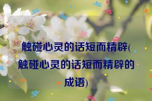 触碰心灵的话短而精辟(触碰心灵的话短而精辟的成语)