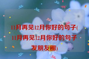 11月再见12月你好的句子(11月再见12月你好的句子发朋友圈)