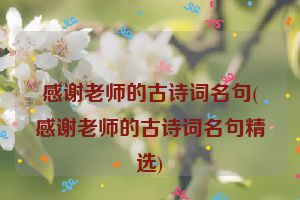 感谢老师的古诗词名句(感谢老师的古诗词名句精选)