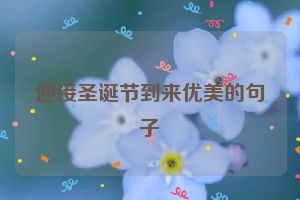 迎接圣诞节到来优美的句子
