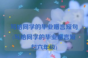 写给同学的毕业赠言短句(写给同学的毕业赠言短句六年级)