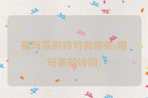 描写茶的诗句有哪些(描写茶的诗词)