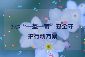 2023“一盔一带”安全守护行动方案
