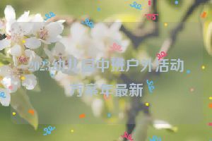 2023幼儿园中班户外活动方案年最新