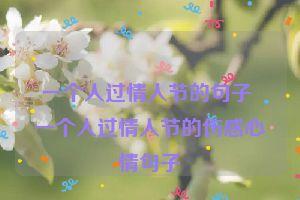 一个人过情人节的句子 一个人过情人节的伤感心情句子