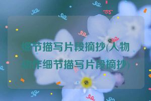 细节描写片段摘抄(人物动作细节描写片段摘抄)