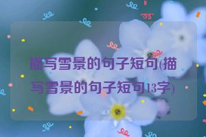 描写雪景的句子短句(描写雪景的句子短句13字)