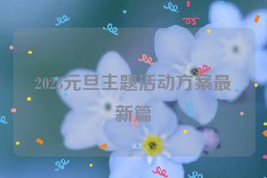 2023元旦主题活动方案最新篇