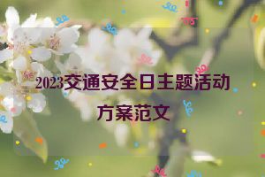 2023交通安全日主题活动方案范文
