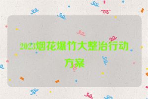 2023烟花爆竹大整治行动方案