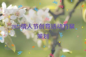2023情人节创意活动方案策划
