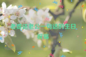老婆送老公一句话的生日祝福