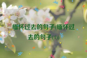缅怀过去的句子(缅怀过去的句子(4))