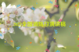 2023全国消防日演讲稿