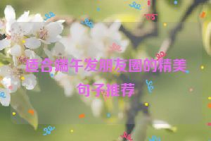 适合端午发朋友圈的精美句子推荐