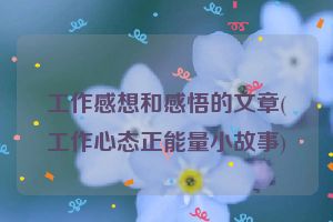 工作感想和感悟的文章(工作心态正能量小故事)