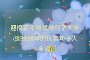 迎接新年的优美句子大全(迎接新年的优美句子大全虎)