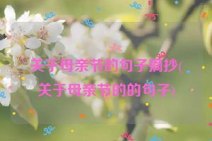 关于母亲节的句子摘抄(关于母亲节的的句子)