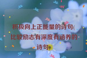积极向上正能量的诗句(比较励志有深度有涵养的诗句)