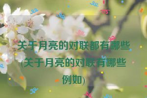 关于月亮的对联都有哪些(关于月亮的对联有哪些例如)