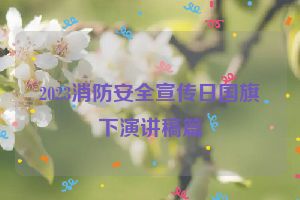 2023消防安全宣传日国旗下演讲稿篇