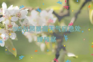 2023台风暴雨天气应急处理预案