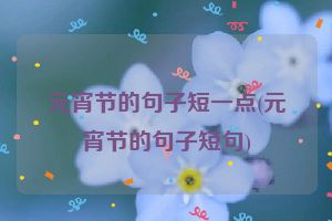 元宵节的句子短一点(元宵节的句子短句)