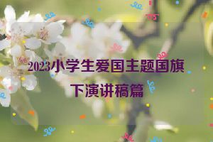 2023小学生爱国主题国旗下演讲稿篇