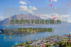 悲伤的句子说说心情(伤感句子句句心痛)