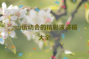 2023运动会的精彩演讲稿大全