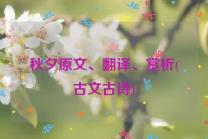 秋夕原文、翻译、赏析(古文古诗)