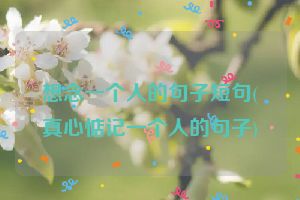 想念一个人的句子短句(真心惦记一个人的句子)