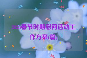 2023春节时期慰问活动工作方案(篇)