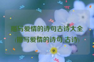 描写爱情的诗句古诗大全(描写爱情的诗句 古诗)