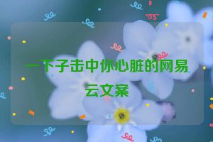 一下子击中你心脏的网易云文案