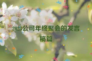 2023公司年终聚会的发言稿篇