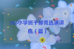 2023小学班干部竞选演讲稿（篇）