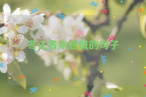 冬去春来感慨的句子
