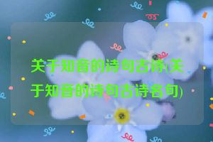 关于知音的诗句古诗(关于知音的诗句古诗名句)