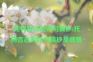 托物言志的诗句摘抄(托物言志的诗句摘抄及感悟)