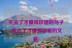 失去了才懂得珍惜的句子(失去了才懂得珍惜的文案)