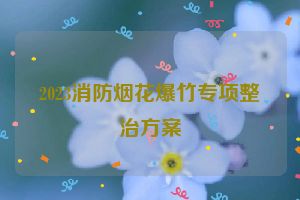 2023消防烟花爆竹专项整治方案