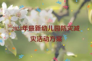 2023年最新幼儿园防灾减灾活动方案