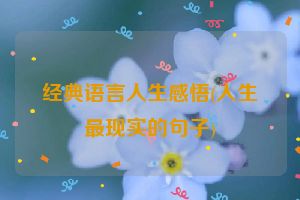 经典语言人生感悟(人生最现实的句子)