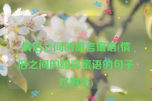 情侣之间的甜言蜜语(情侣之间的甜言蜜语的句子对男生)